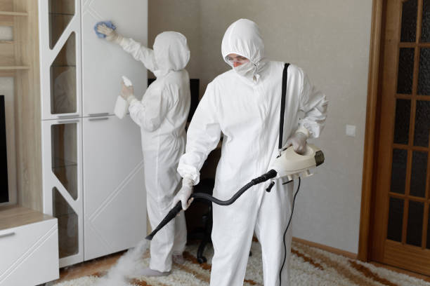 Professional Mold Remediation in Lamar, AR